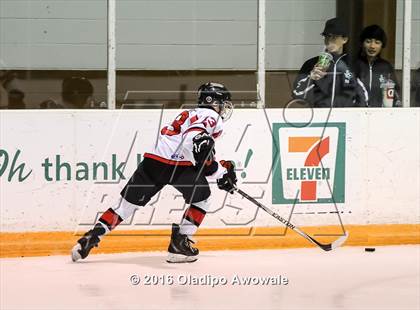 Thumbnail 2 in JV: Lovejoy vs Carroll photogallery.