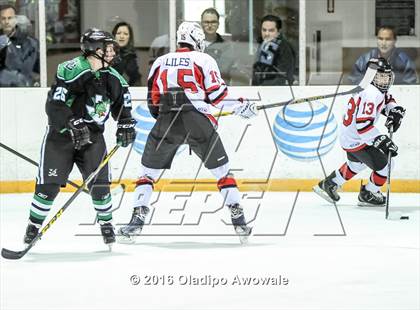 Thumbnail 2 in JV: Lovejoy vs Carroll photogallery.