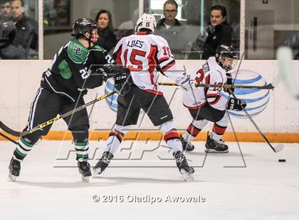 Thumbnail 1 in JV: Lovejoy vs Carroll photogallery.