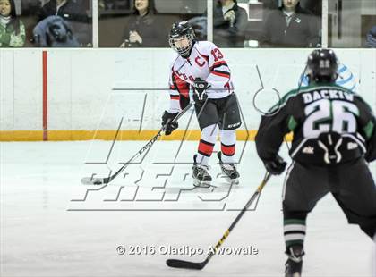 Thumbnail 3 in JV: Lovejoy vs Carroll photogallery.