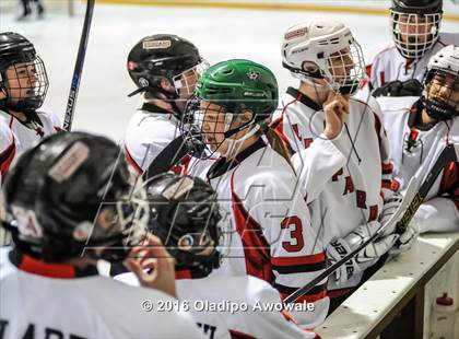 Thumbnail 2 in JV: Lovejoy vs Carroll photogallery.