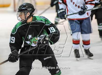 Thumbnail 2 in JV: Lovejoy vs Carroll photogallery.