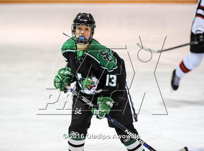 Thumbnail 2 in JV: Lovejoy vs Carroll photogallery.