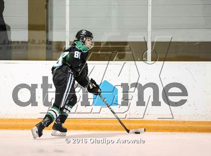 Thumbnail 2 in JV: Lovejoy vs Carroll photogallery.