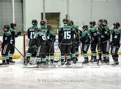 Thumbnail 2 in JV: Lovejoy vs Carroll photogallery.