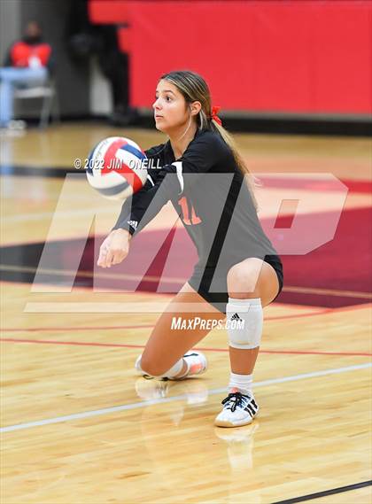 Thumbnail 3 in  Lovejoy @ Coppell photogallery.