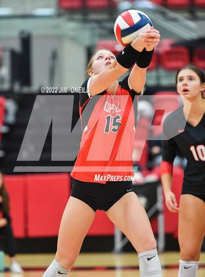 Thumbnail 2 in  Lovejoy @ Coppell photogallery.