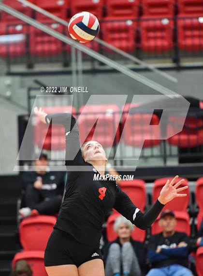 Thumbnail 1 in  Lovejoy @ Coppell photogallery.