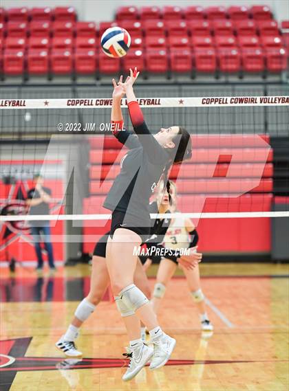 Thumbnail 1 in  Lovejoy @ Coppell photogallery.
