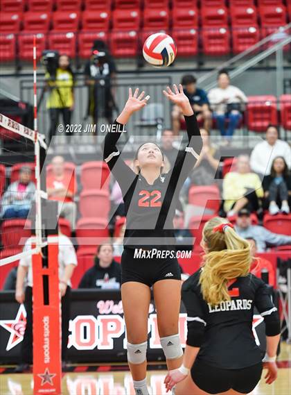 Thumbnail 3 in  Lovejoy @ Coppell photogallery.