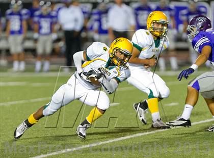 Thumbnail 3 in Holmes @ Warren photogallery.