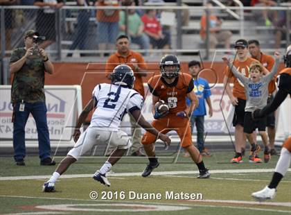 Thumbnail 3 in Bryan @ Hutto photogallery.