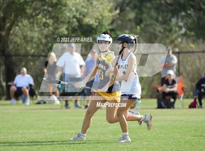Thumbnail 3 in Steinbrenner vs Naples (Lax Against Leukemia) photogallery.