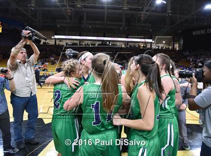 Thumbnail 3 in ThunderRidge vs. Highlands Ranch (CHSAA 5A Final) photogallery.