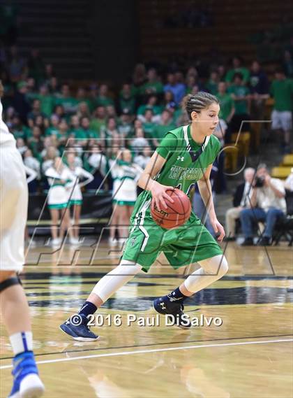 Thumbnail 1 in ThunderRidge vs. Highlands Ranch (CHSAA 5A Final) photogallery.