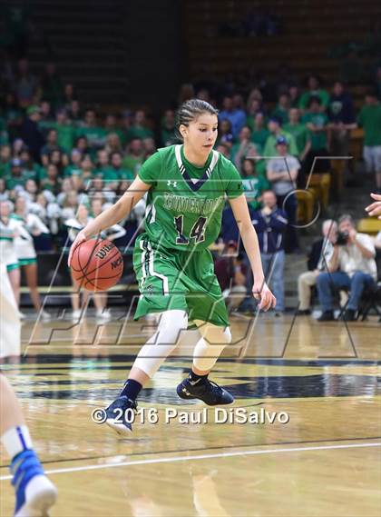 Thumbnail 2 in ThunderRidge vs. Highlands Ranch (CHSAA 5A Final) photogallery.
