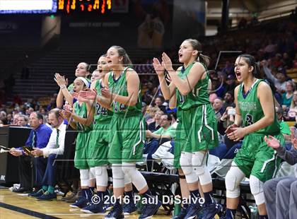 Thumbnail 1 in ThunderRidge vs. Highlands Ranch (CHSAA 5A Final) photogallery.