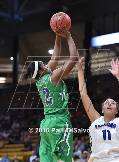 Thumbnail 2 in ThunderRidge vs. Highlands Ranch (CHSAA 5A Final) photogallery.