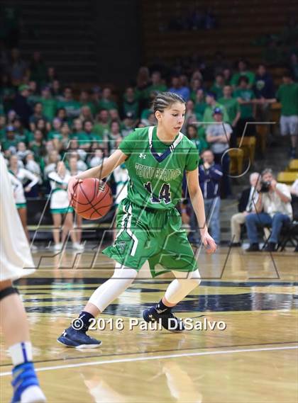 Thumbnail 3 in ThunderRidge vs. Highlands Ranch (CHSAA 5A Final) photogallery.
