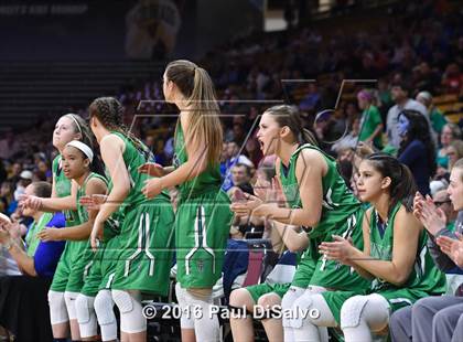 Thumbnail 3 in ThunderRidge vs. Highlands Ranch (CHSAA 5A Final) photogallery.