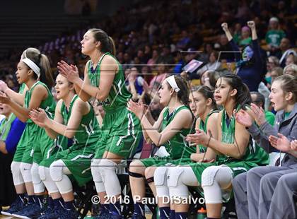 Thumbnail 2 in ThunderRidge vs. Highlands Ranch (CHSAA 5A Final) photogallery.