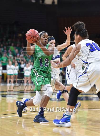 Thumbnail 3 in ThunderRidge vs. Highlands Ranch (CHSAA 5A Final) photogallery.