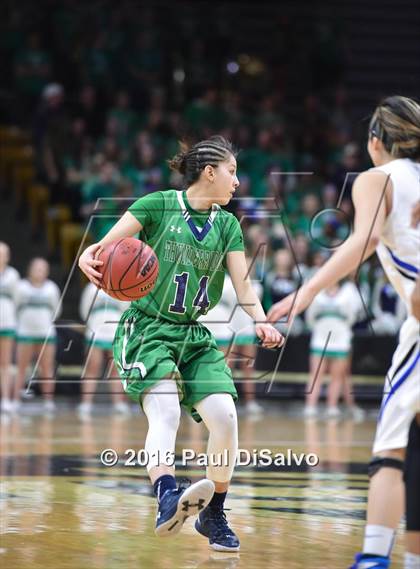 Thumbnail 1 in ThunderRidge vs. Highlands Ranch (CHSAA 5A Final) photogallery.