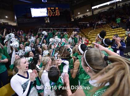 Thumbnail 3 in ThunderRidge vs. Highlands Ranch (CHSAA 5A Final) photogallery.