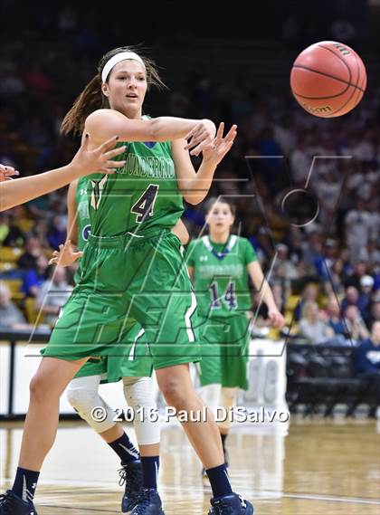 Thumbnail 1 in ThunderRidge vs. Highlands Ranch (CHSAA 5A Final) photogallery.