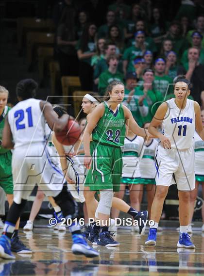 Thumbnail 2 in ThunderRidge vs. Highlands Ranch (CHSAA 5A Final) photogallery.