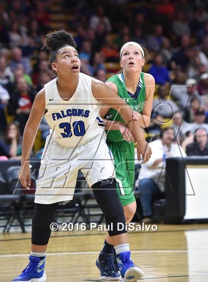 Thumbnail 3 in ThunderRidge vs. Highlands Ranch (CHSAA 5A Final) photogallery.
