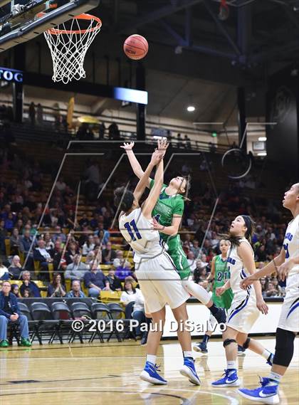 Thumbnail 1 in ThunderRidge vs. Highlands Ranch (CHSAA 5A Final) photogallery.