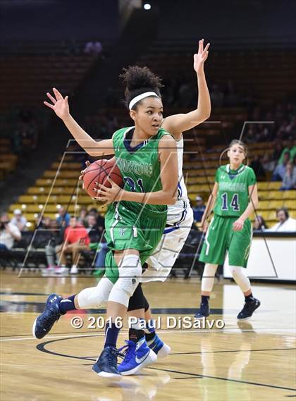 Thumbnail 2 in ThunderRidge vs. Highlands Ranch (CHSAA 5A Final) photogallery.