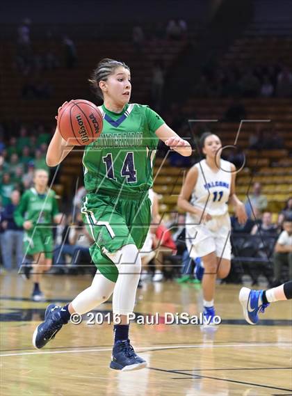 Thumbnail 3 in ThunderRidge vs. Highlands Ranch (CHSAA 5A Final) photogallery.