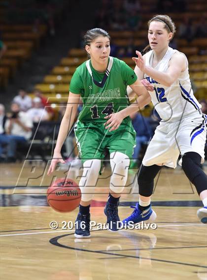 Thumbnail 2 in ThunderRidge vs. Highlands Ranch (CHSAA 5A Final) photogallery.