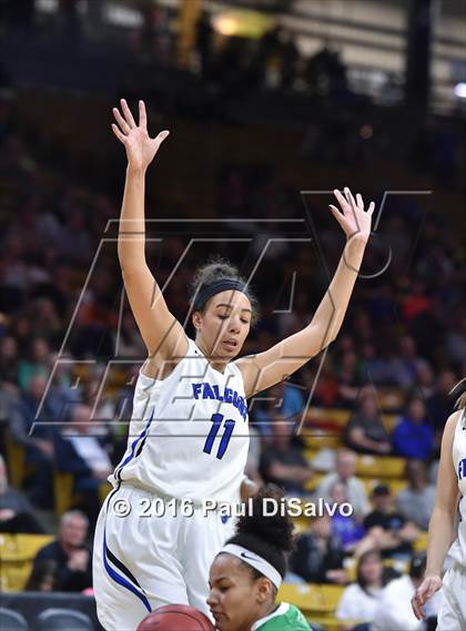 Thumbnail 1 in ThunderRidge vs. Highlands Ranch (CHSAA 5A Final) photogallery.