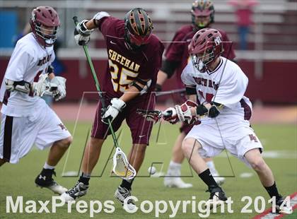Thumbnail 1 in North Haven @ Sheehan photogallery.