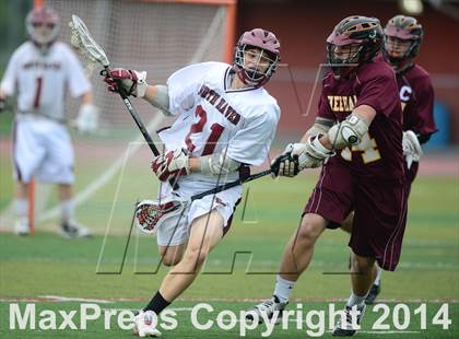 Thumbnail 1 in North Haven @ Sheehan photogallery.