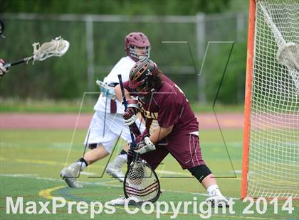 Thumbnail 1 in North Haven @ Sheehan photogallery.