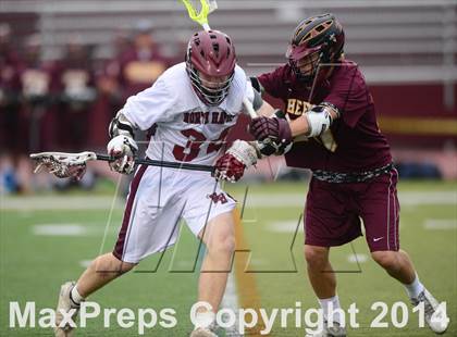 Thumbnail 3 in North Haven @ Sheehan photogallery.