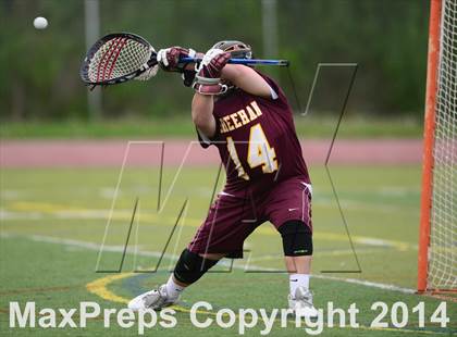 Thumbnail 3 in North Haven @ Sheehan photogallery.