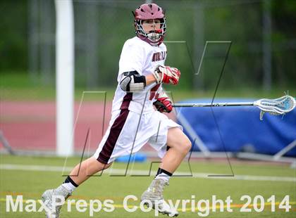 Thumbnail 1 in North Haven @ Sheehan photogallery.