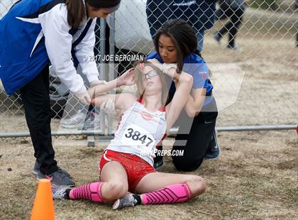 Thumbnail 1 in CIF Central Section Cross Country Championships (Girls D1 Race) photogallery.