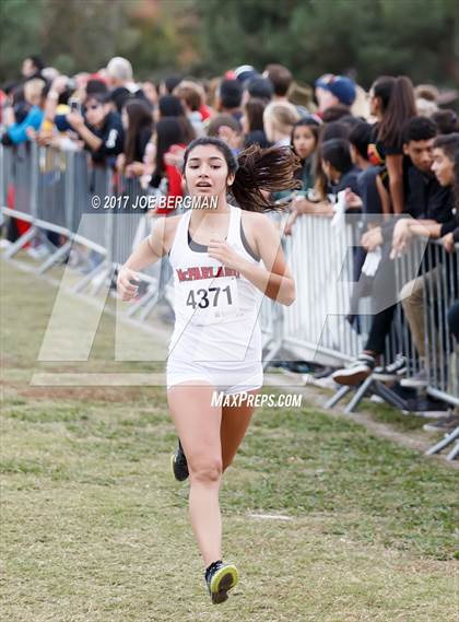 Thumbnail 1 in CIF Central Section Cross Country Championships (Girls D1 Race) photogallery.