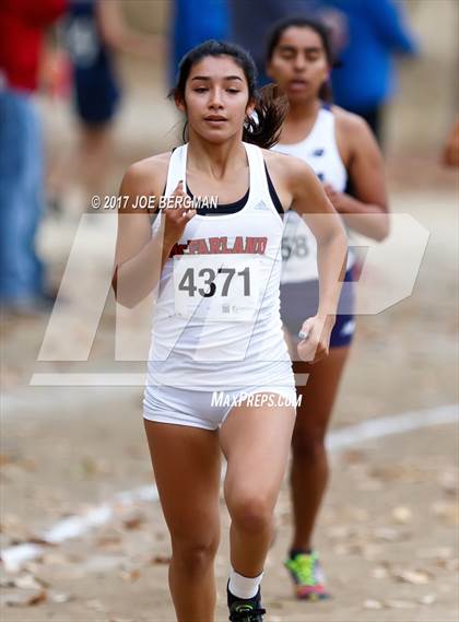 Thumbnail 1 in CIF Central Section Cross Country Championships (Girls D1 Race) photogallery.