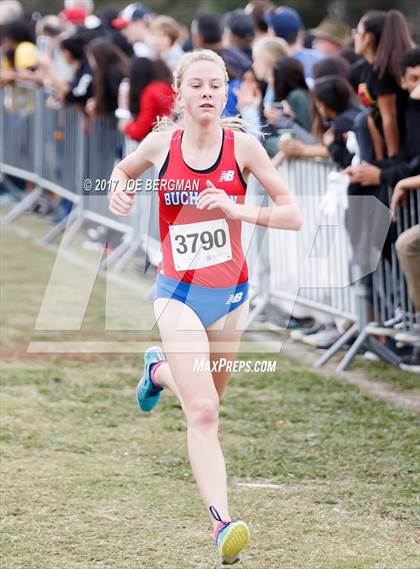Thumbnail 3 in CIF Central Section Cross Country Championships (Girls D1 Race) photogallery.