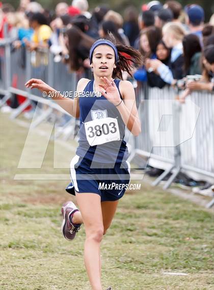 Thumbnail 1 in CIF Central Section Cross Country Championships (Girls D1 Race) photogallery.