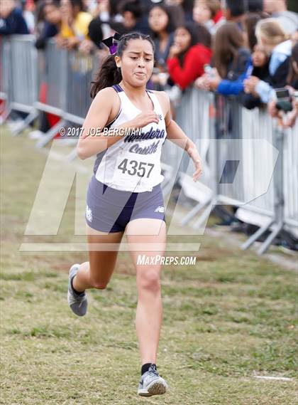 Thumbnail 1 in CIF Central Section Cross Country Championships (Girls D1 Race) photogallery.