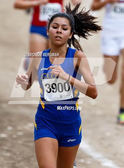 Thumbnail 3 in CIF Central Section Cross Country Championships (Girls D1 Race) photogallery.