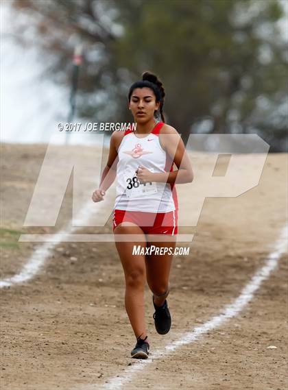 Thumbnail 1 in CIF Central Section Cross Country Championships (Girls D1 Race) photogallery.